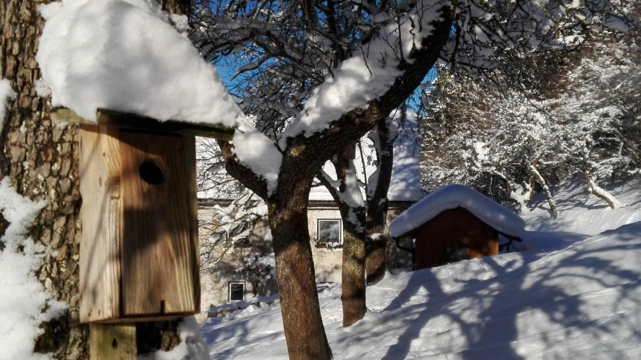 Ferienhaus Hirschnest Sankt Pankraz Экстерьер фото